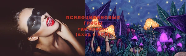 меф Арсеньев