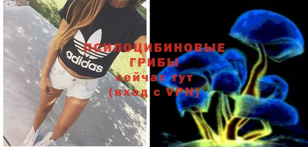 мдпв Мегион