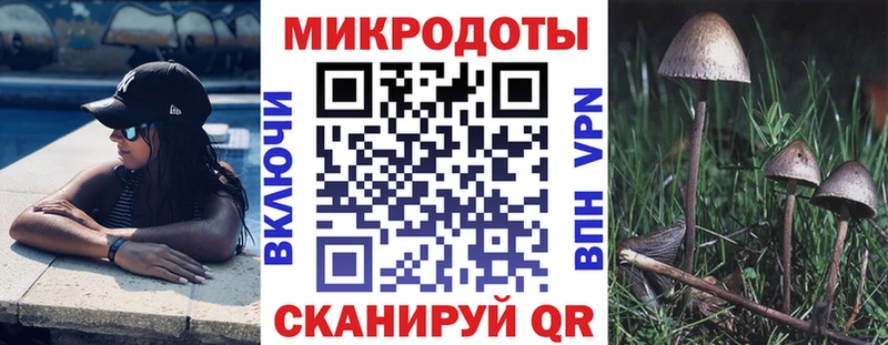 Галлюциногенные грибы Psilocybe  Глазов 